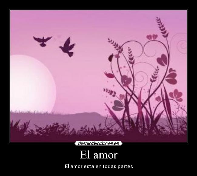 El amor - El amor esta en todas partes