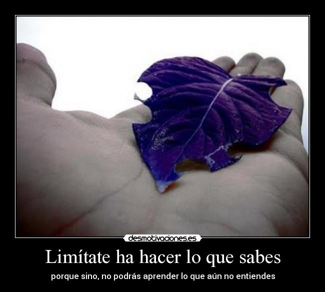 Limítate ha hacer lo que sabes - porque sino, no podrás aprender lo que aún no entiendes