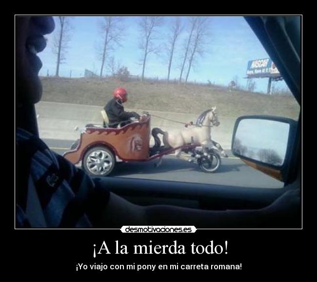 ¡A la mierda todo! -