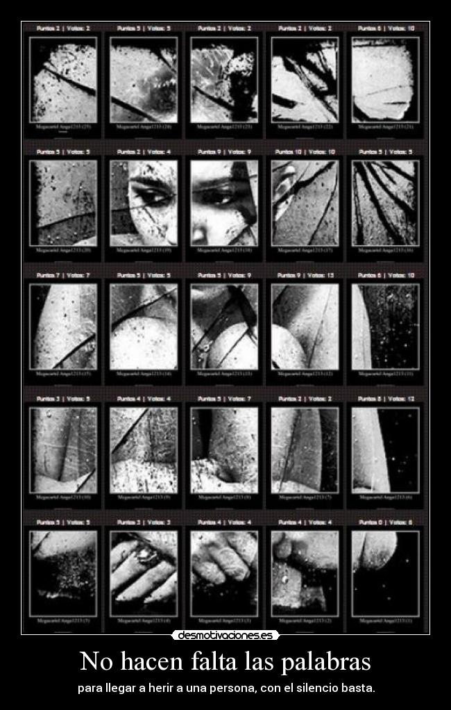 No hacen falta las palabras -