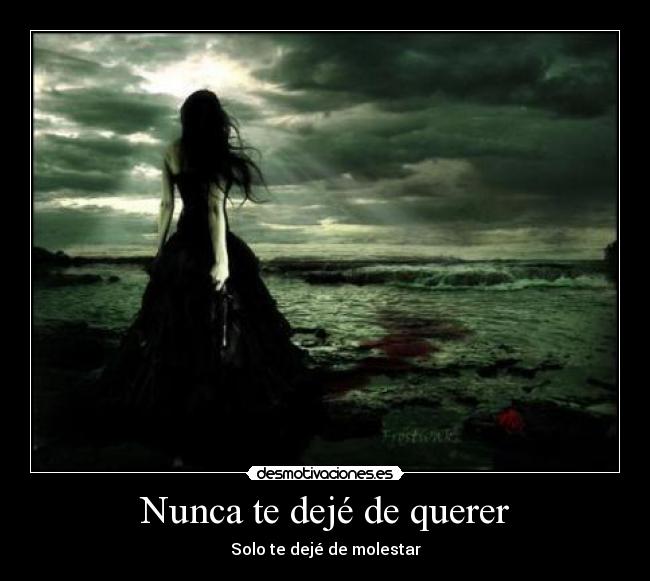 Nunca te dejé de querer -