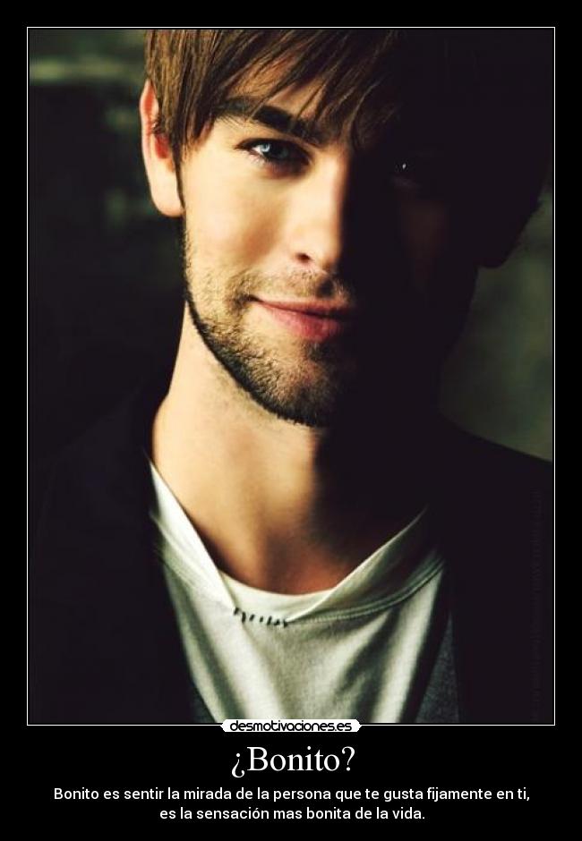 ¿Bonito? - 