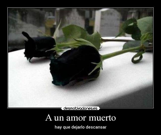 A un amor muerto - hay que dejarlo descansar