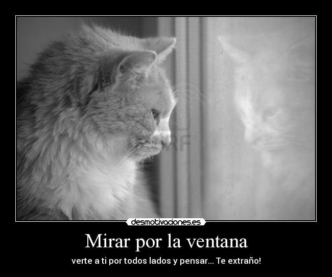 Mirar por la ventana - 