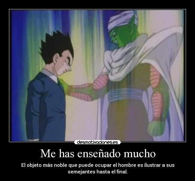 Me has enseñado mucho - 