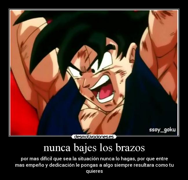 nunca bajes los brazos -