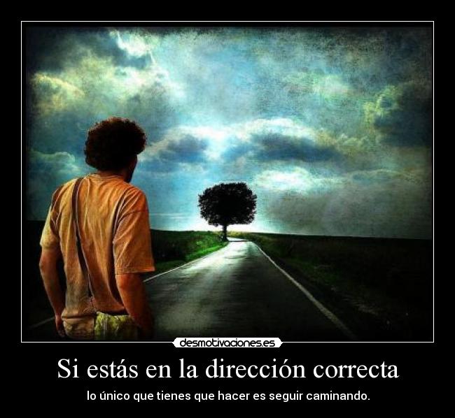 carteles estas direccion correcta unico que tienes que hacer seguir caminando waltkl princi desmotivaciones