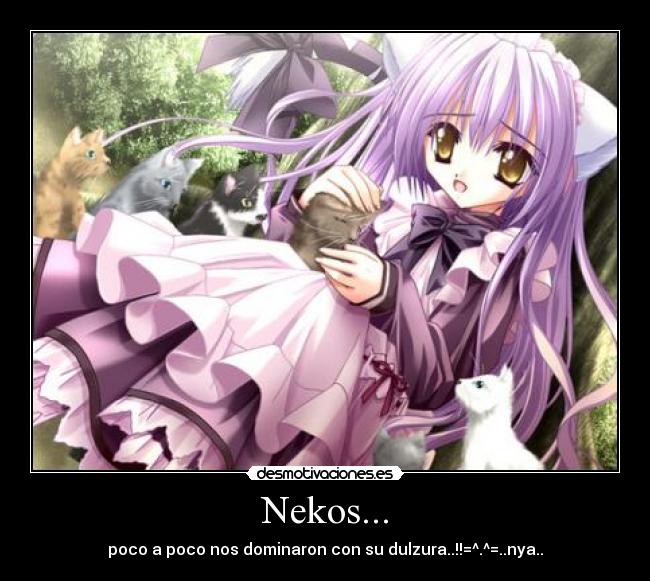 carteles nekos desmotivaciones