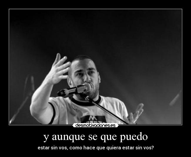 carteles equi desmotivaciones