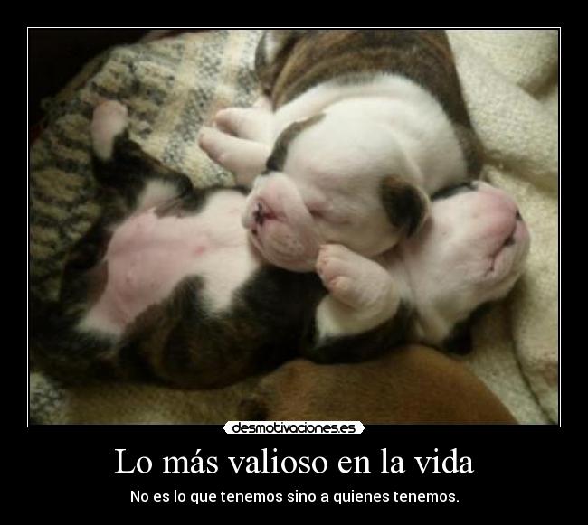 Lo más valioso en la vida -