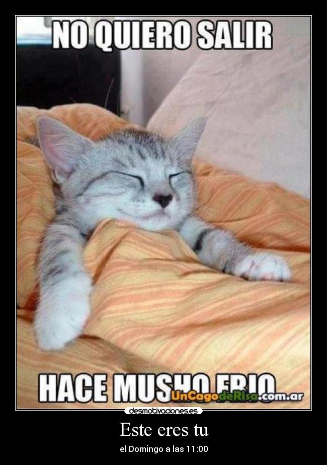 Este eres tu - el Domingo a las 11:00