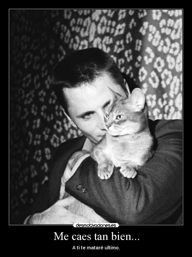 Me caes tan bien... -