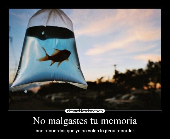 No malgastes tu memoria - con recuerdos que ya no valen la pena recordar.