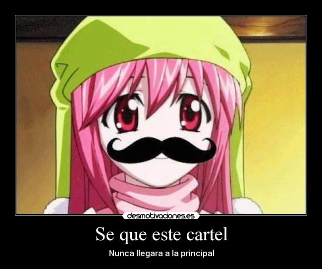 Se que este cartel - Nunca llegara a la principal