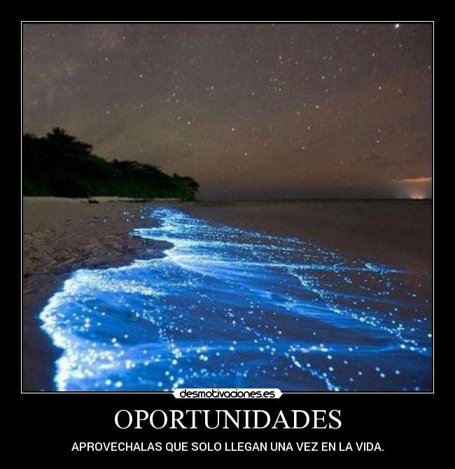 OPORTUNIDADES - 