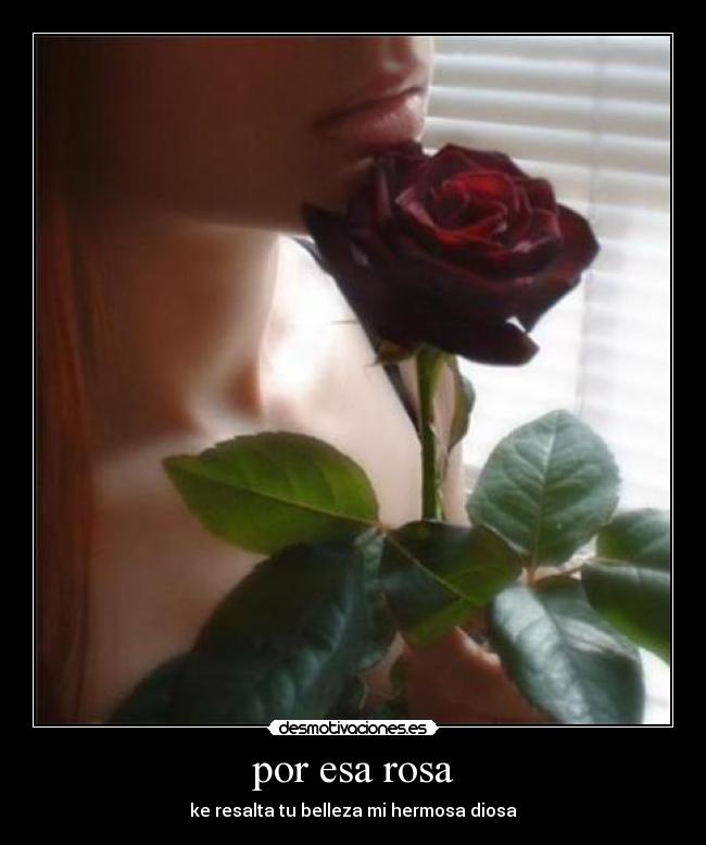 por esa rosa - ke resalta tu belleza mi hermosa diosa