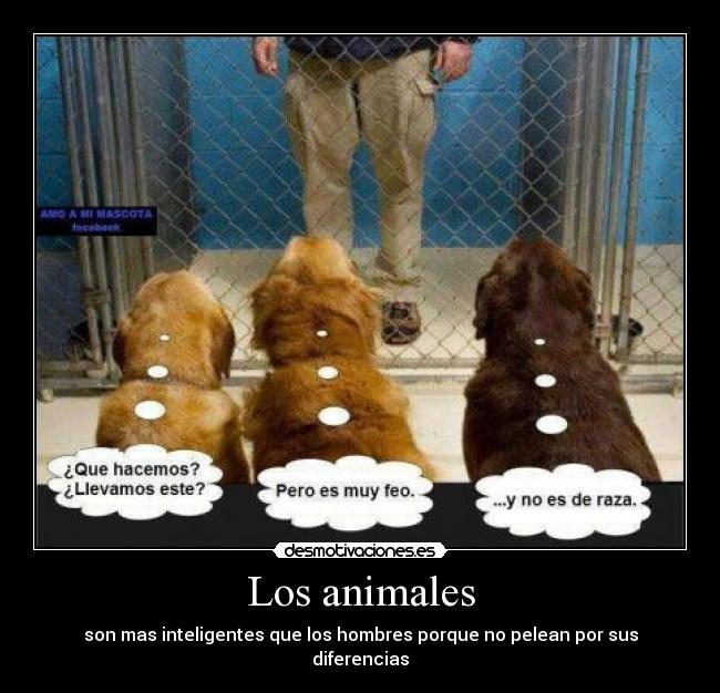 Los animales -