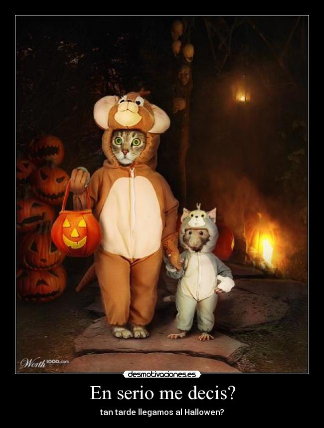 En serio me decis? -