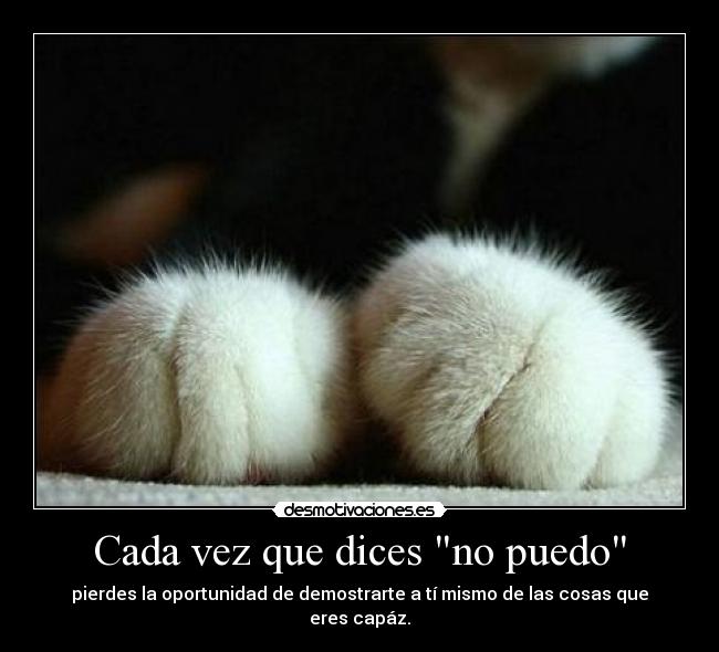 Cada vez que dices no puedo - pierdes la oportunidad de demostrarte a tí mismo de las cosas que eres capáz.