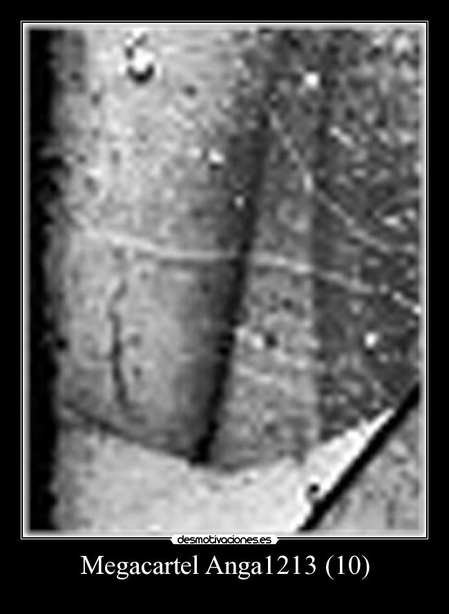 Megacartel Anga1213 (10) -