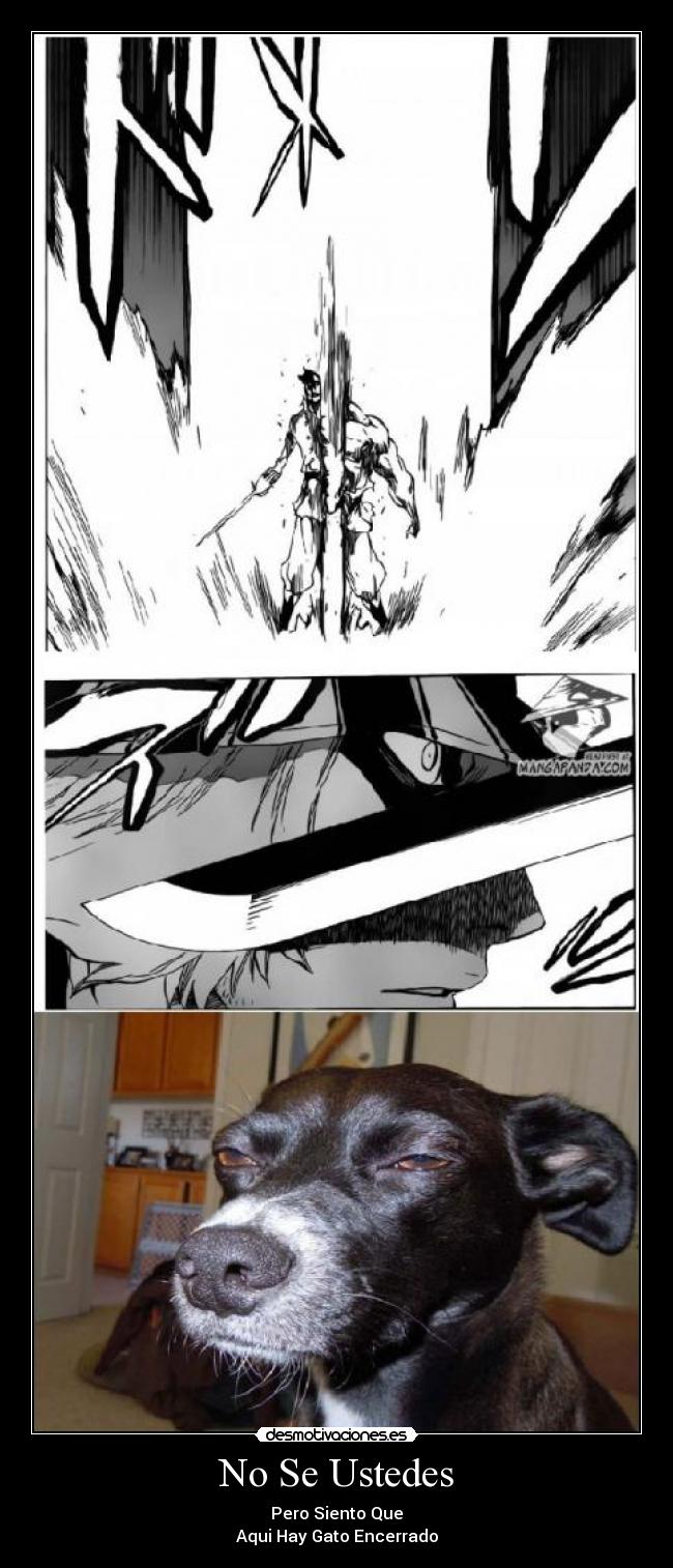 No Se Ustedes - Pero Siento Que
Aqui Hay Gato Encerrado