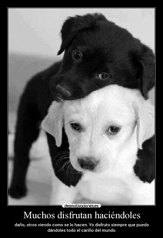 Muchos disfrutan haciéndoles - 