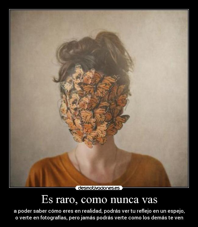 carteles raro mariposas monarcas desmotivaciones