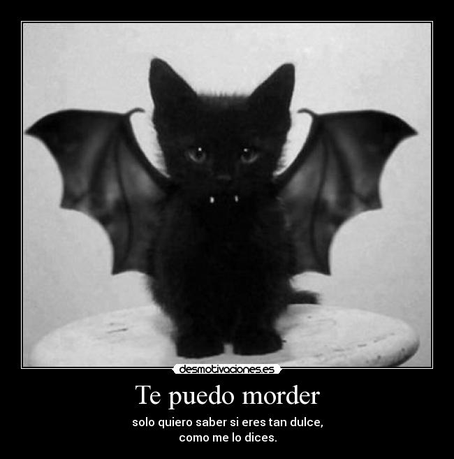 Te puedo morder - solo quiero saber si eres tan dulce,
como me lo dices.