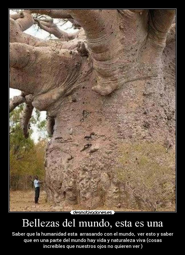 Bellezas del mundo, esta es una - Saber que la humanidad esta  arrasando con el mundo,  ver esto y saber
que en una parte del mundo hay vida y naturaleza viva (cosas
increíbles que nuestros ojos no quieren ver )