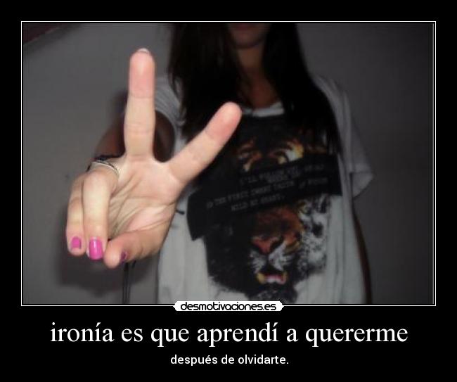 carteles ironia que aprendia quererme desmotivaciones