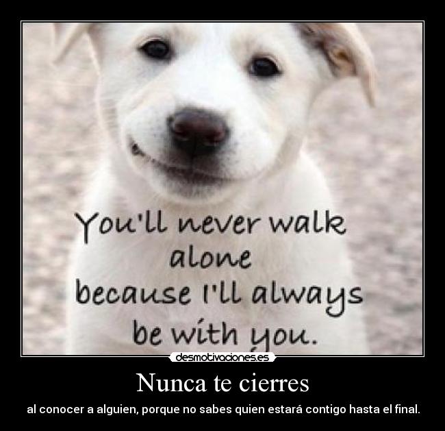 Nunca te cierres - al conocer a alguien, porque no sabes quien estará contigo hasta el final.