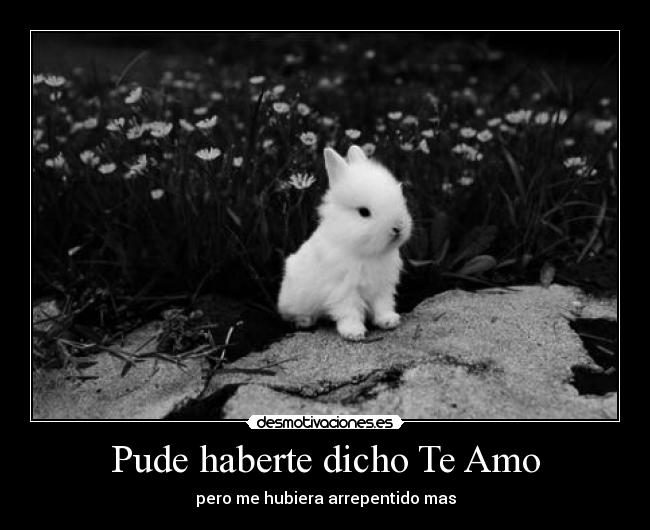Pude haberte dicho Te Amo - 