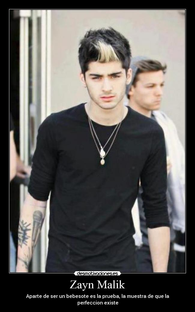 Zayn Malik - Aparte de ser un bebesote es la prueba, la muestra de que la perfeccion existe