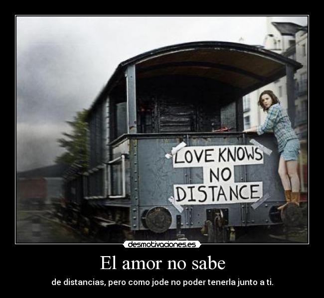 El amor no sabe -