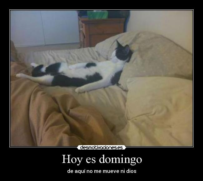 Hoy es domingo - de aquí no me mueve ni dios