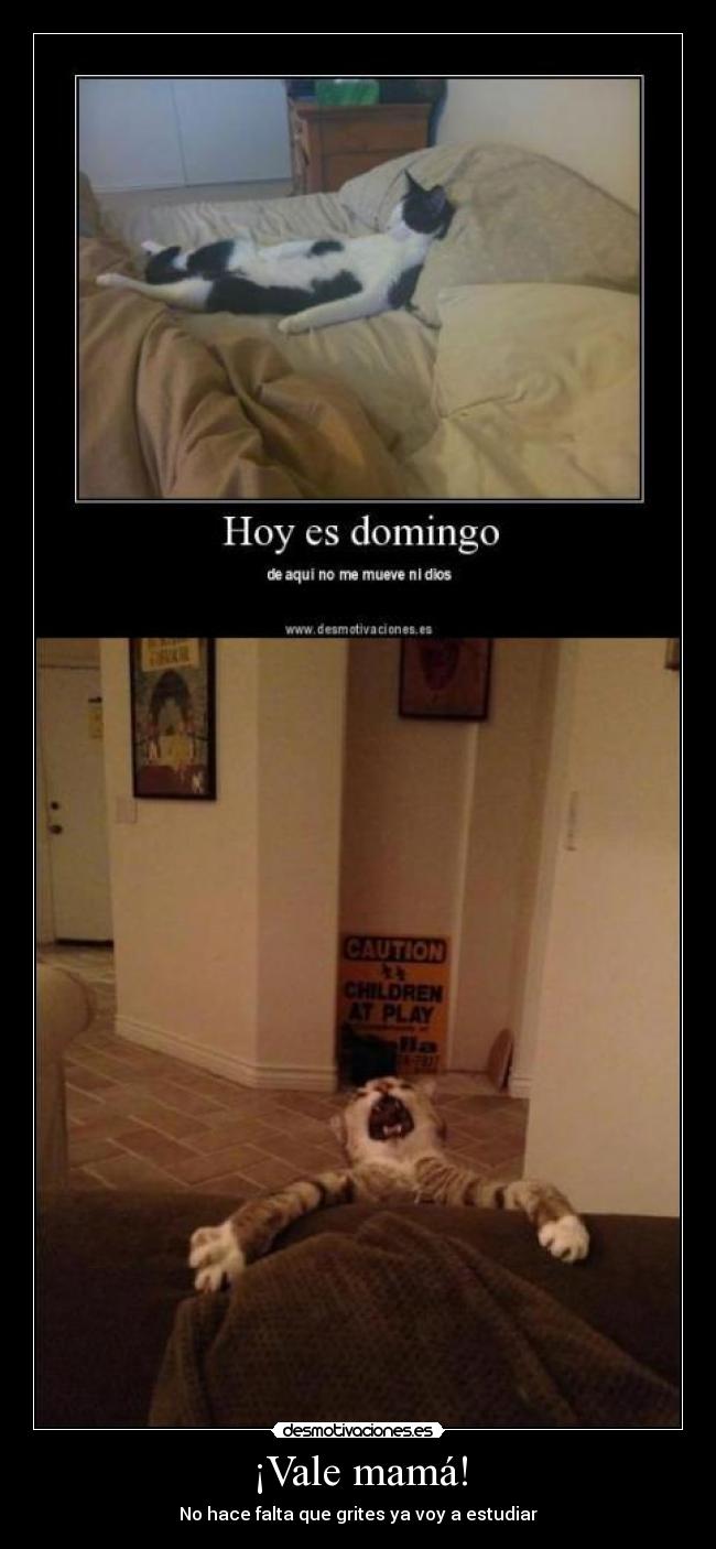 ¡Vale mamá! - No hace falta que grites ya voy a estudiar