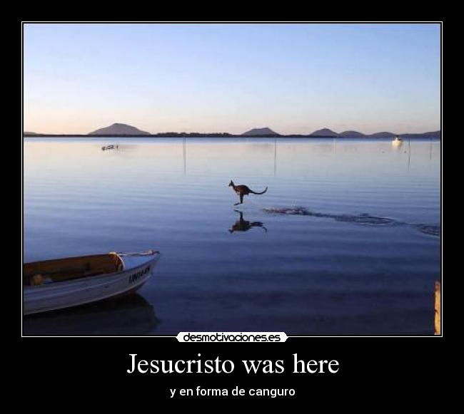 Jesucristo was here - y en forma de canguro