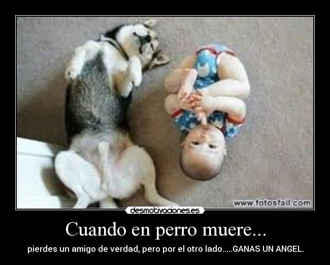 carteles cuando desmotivaciones