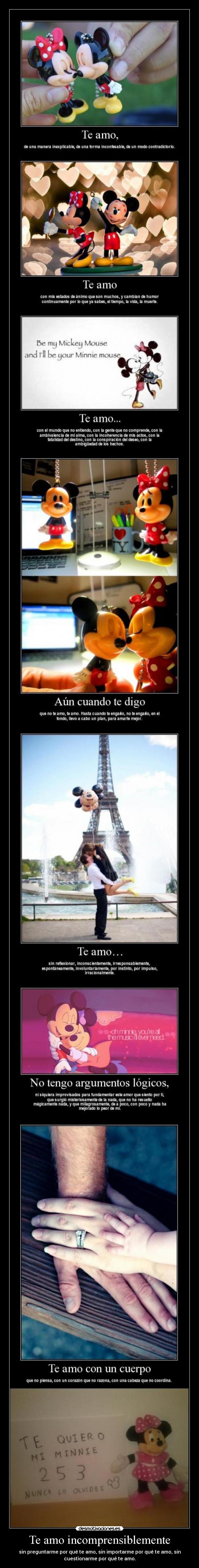 Te amo incomprensiblemente - sin preguntarme por qué te amo, sin importarme por qué te amo, sin
cuestionarme por qué te amo.