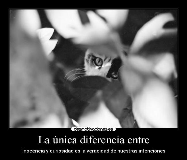 La única diferencia entre - 