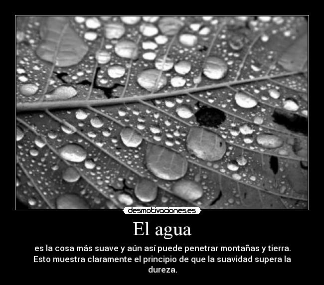 El agua - es la cosa más suave y aún así puede penetrar montañas y tierra.
Esto muestra claramente el principio de que la suavidad supera la
dureza.