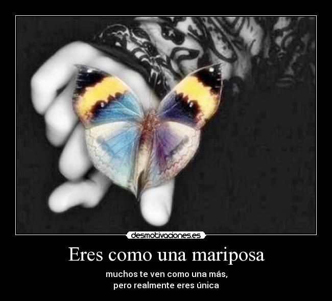 Eres como una mariposa - muchos te ven como una más,
pero realmente eres única