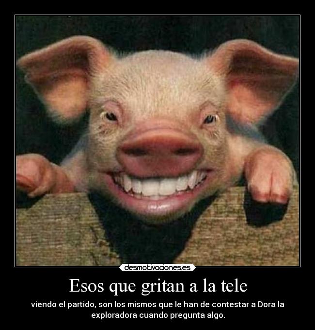 carteles jajaja desmotivaciones