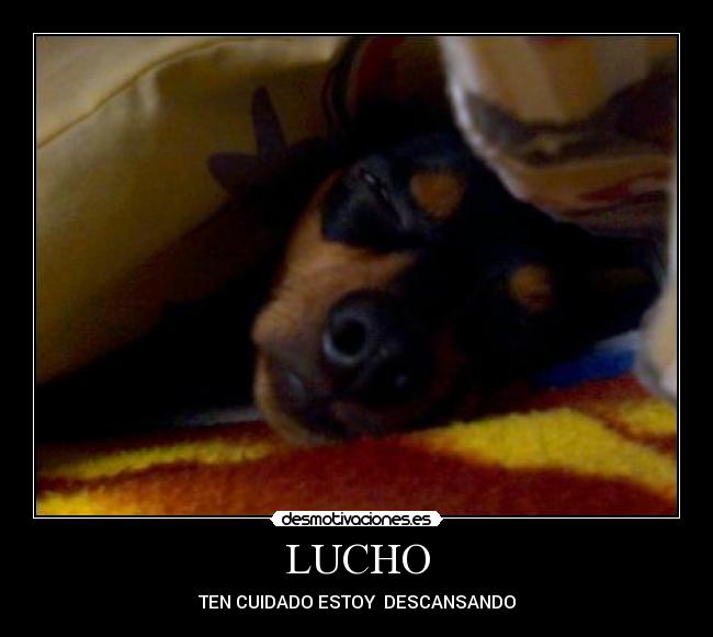 LUCHO - TEN CUIDADO ESTOY DESCANSANDO