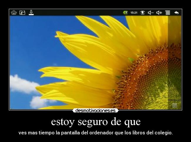 estoy seguro de que - 