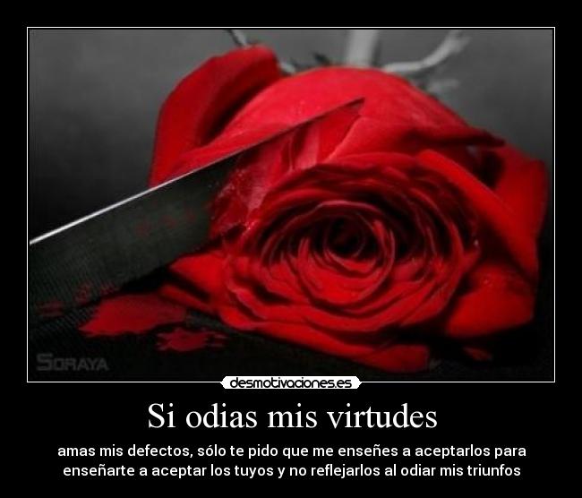 carteles odio amar desmotivaciones