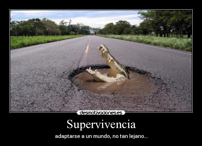 Supervivencia - 