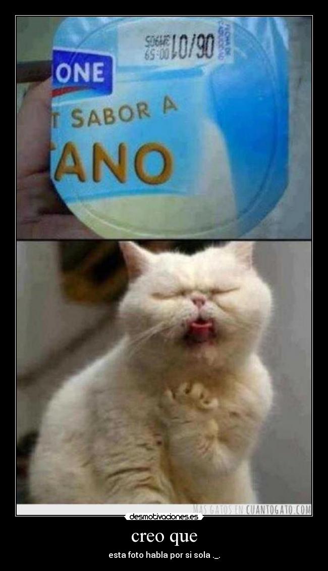 creo que - esta foto habla por si sola ._.