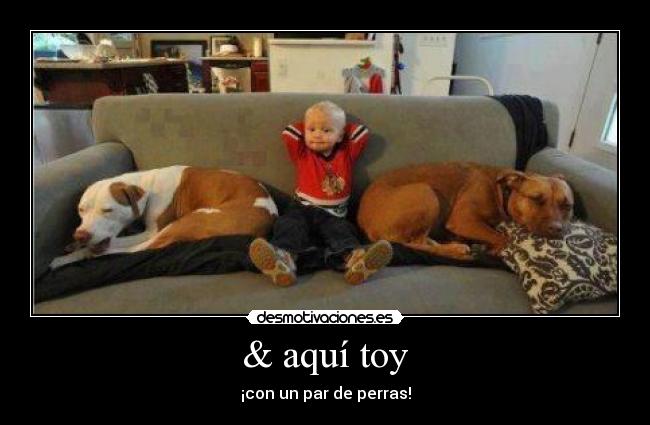 carteles jajaja desmotivaciones