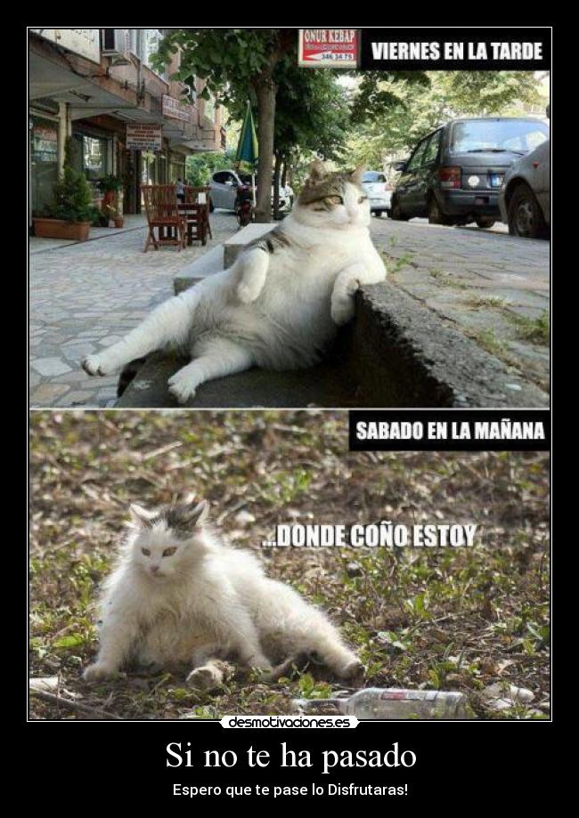 Si no te ha pasado - Espero que te pase lo Disfrutaras!